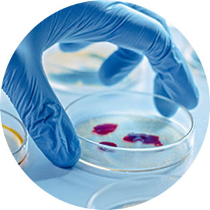 Diagnostic Microbiology